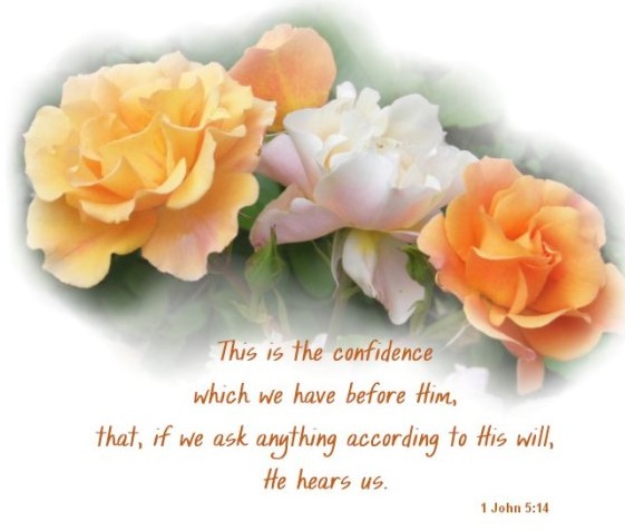 Read more about the article Christ Confidence