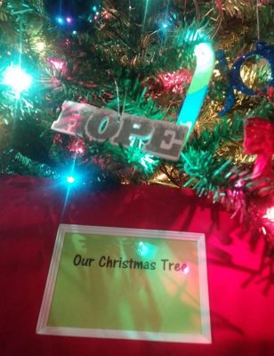 Read more about the article Our Christmas Tree