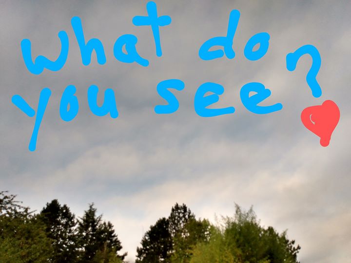 You are currently viewing What Do You See?  – Good Morning