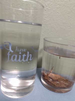 Read more about the article Choose The Cup of Faith