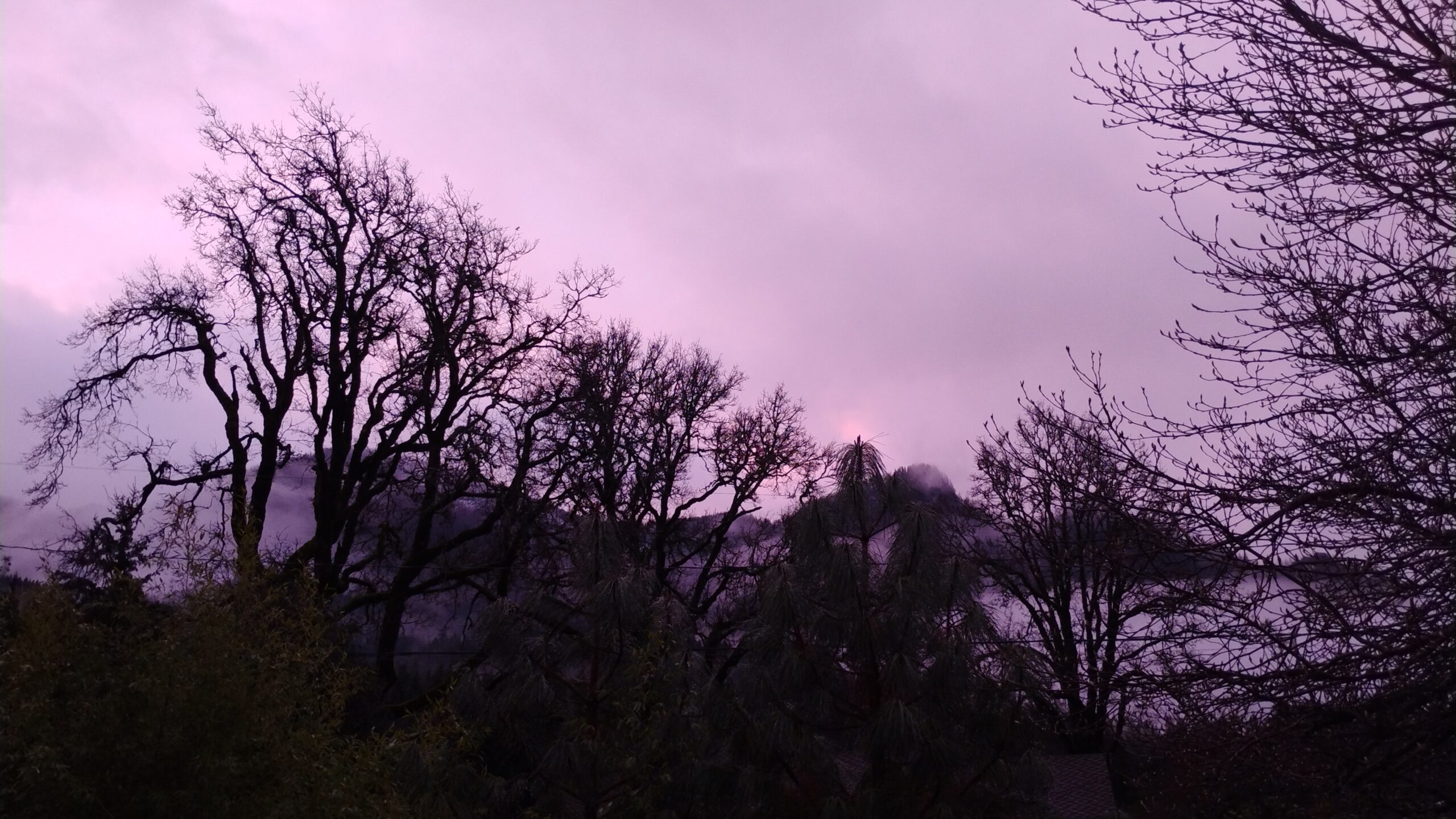 You are currently viewing PURPLE MORNING GLOW